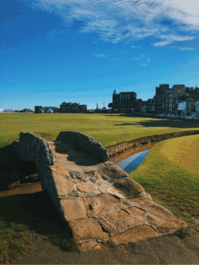 Mike Pelliccione Courses