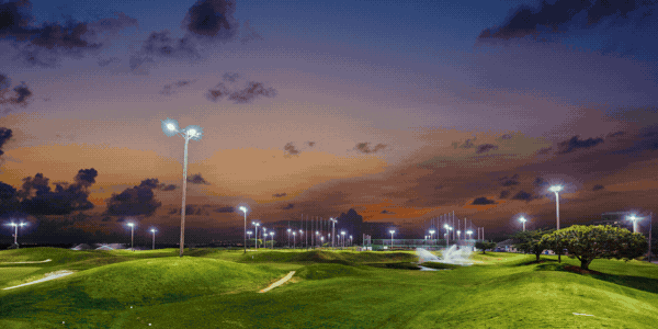 Gold Status for AGAs_Email (600 x 300 px)