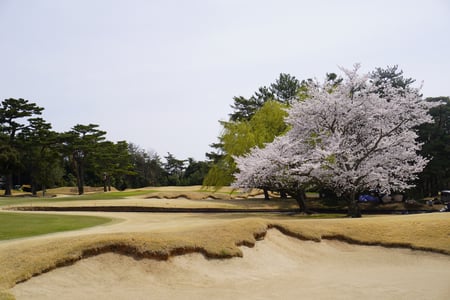 Hirono