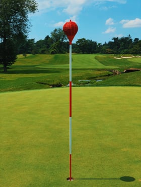 Merion