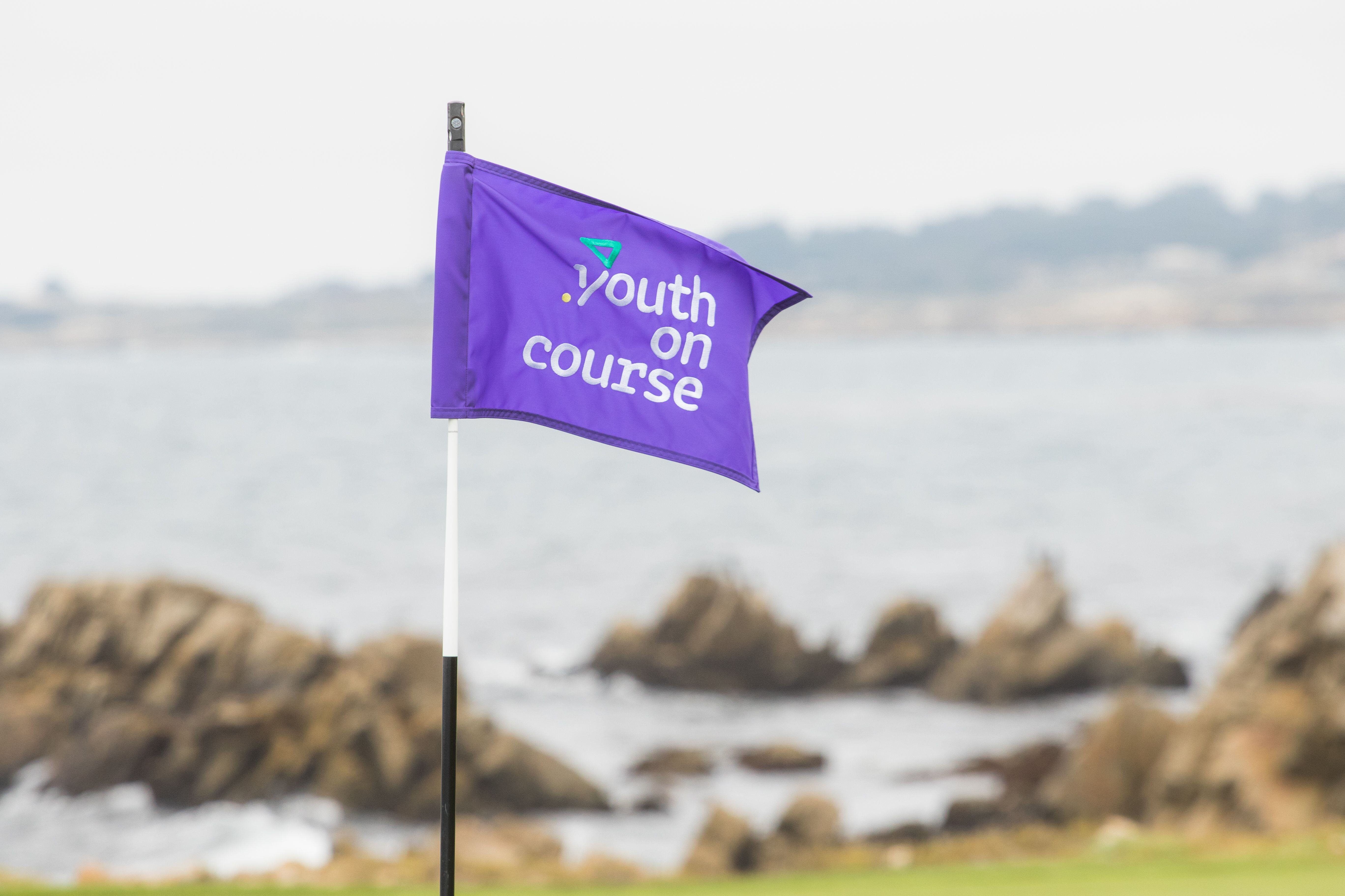 YOC Purple Pin Flag